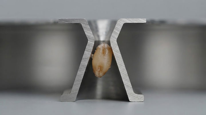A high-magnification cross-sectional view of a precision laser-cut stainless steel screen plate clearly reveals the tapered hole design (narrow at the top, wide at the bottom); a moist grain particle is shown passing smoothly through the widened bottom outlet, demonstrating superior anti-clogging performance.